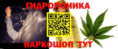 шишки Пыть-Ях
