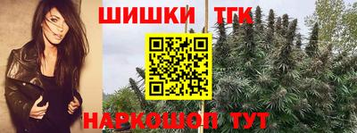 индика Пушкино