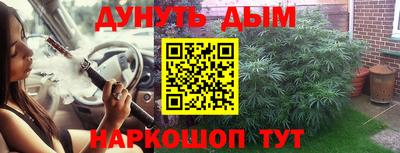 индика Пушкино